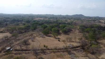 Rural Panama country land aerial with trees scattered under blue sky