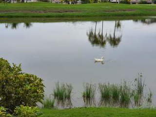 Villa for For Rent in El Farallón - 3 bedrooms