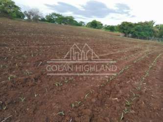 Vacant land plot with paved rural road access and green landscapes Guararé Los Santos Panama