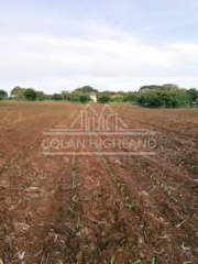 Land for Sale in Guararé - 0 bedrooms