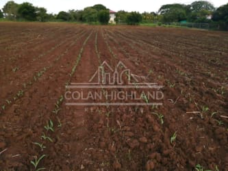 Fertile farmland suitable for crops or subdivision with panoramic countryside views Panama