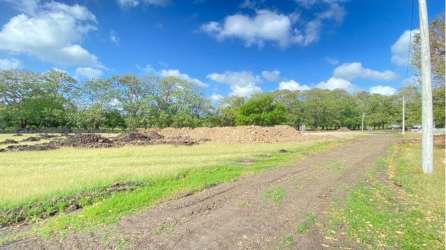 Vacant 200 m² countryside lot ready for house construction in Cermeño Capira Panama