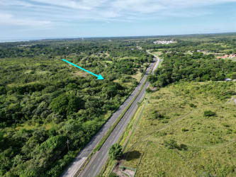 Open landscape of 38 hectares adjacent to Panamericana highway with river border San José Panama