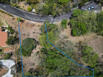 Outline of mountain hillside vacant lot with surrounding forest in gated community