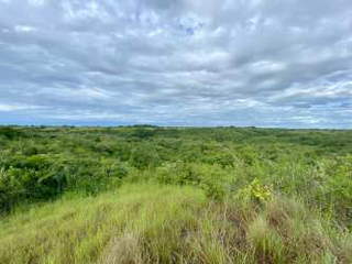 Land / Farm for Sale in San Carlos - 0 bedrooms