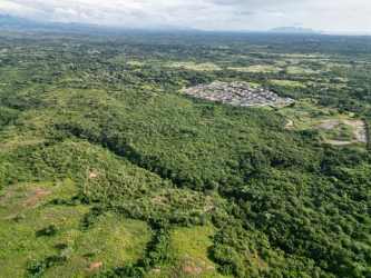 Rolling terrain with greenery at Piedras Gordas San Carlos Panama large lot