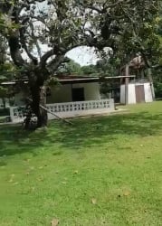 Functional country kitchen with wooden cabinetry in Cabuya Chame Panama