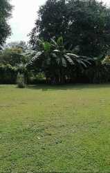 Covered terrace overlooking large country plot with nature views in Cabuya Chame Panama