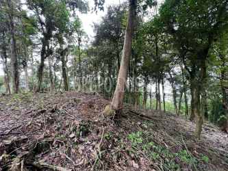 Sloped wooded land ideal for eco-home in mountain retreat Altos del María Panama