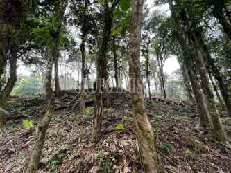 Forest lot on mountain with Pacific Ocean backdrop in Altos del María Panama