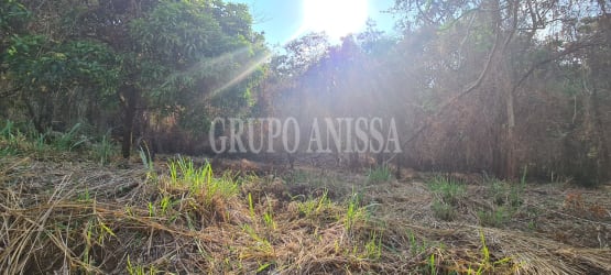 Forest view with sunlight on mountain lot in gated Panama community
