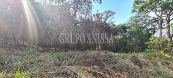 Lush mountain terrain with rich vegetation on large land for sale in Panama