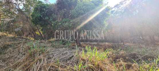Undeveloped forest land in Altos del María mountain gated community