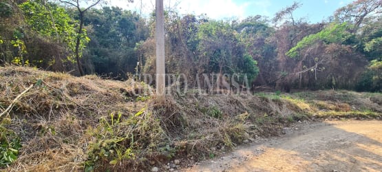 Large mountain lot with dense greenery and sunlight in Altos del María Panama