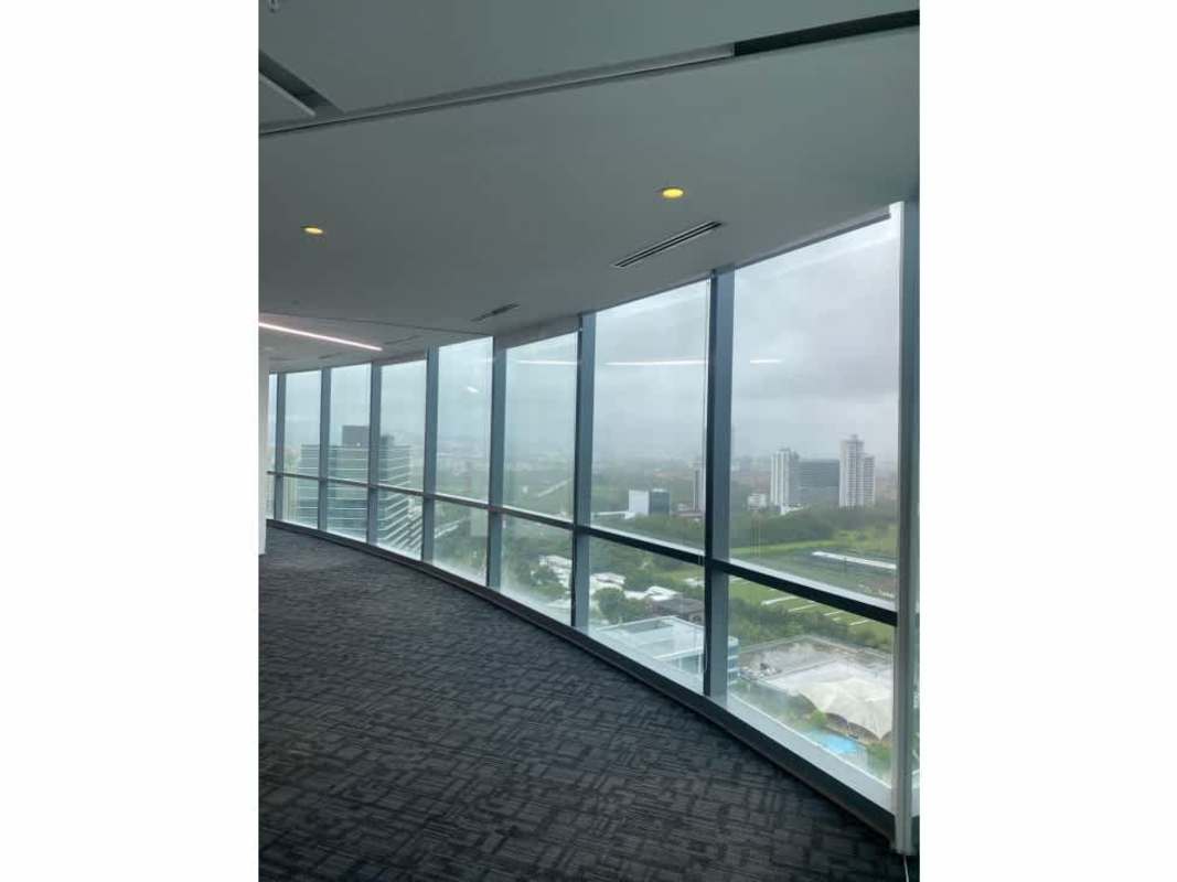 Corporate office with glass partitions, natural light and carpeting at Costa del Este