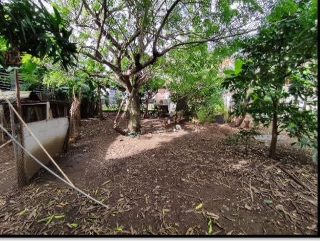 Lot with mature trees and open land in Rio Abajo Panama ideal for warehouse or commercial use