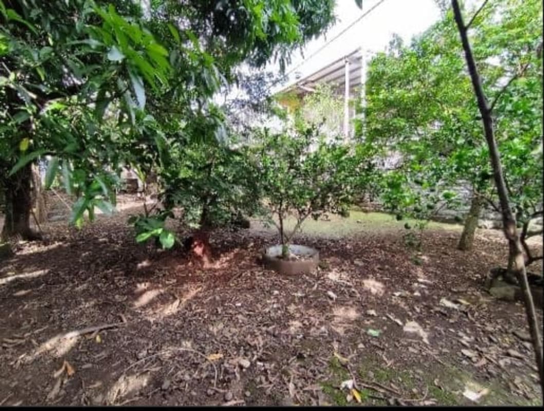 Natural garden and yard space on 832 m² lot Rio Abajo area for commercial warehouse build Panama