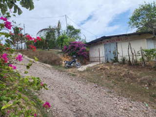 Property for rent in Panama City - 1 bedroom