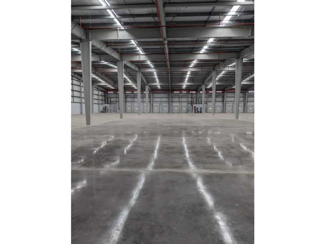 Interior industrial warehouse space with polished concrete and multiple loading bays in Llano Bonito Panama for logistics