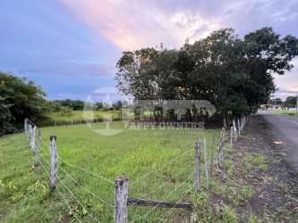 Buildable parcel in Las Tablas Panama countryside 1200 m2 open grassy land with trees
