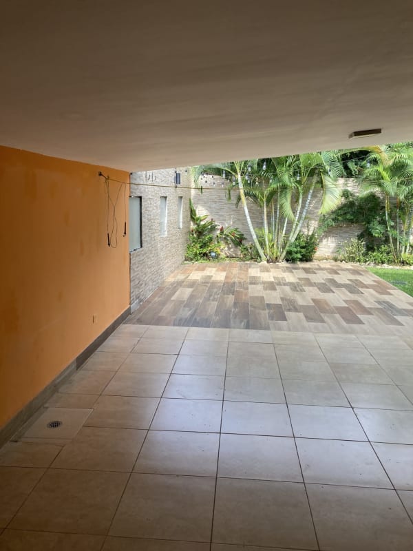 Lush enclosed private garden backyard with patio and palm trees in Versalles Urbanization Panama