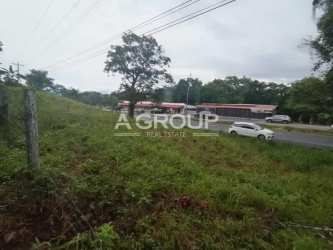 Grassy roadside parcel with fence, trees, and commercial development potential Capira Panama