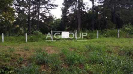 Grassy roadside land lot with commercial buildings and utility poles off Interamerican Highway Capira Panama