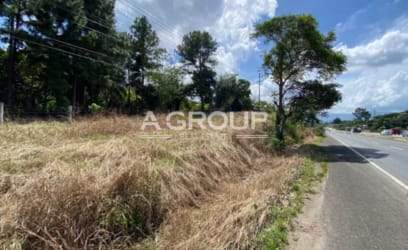 Open plot bordered with trees and boundary markers near highway Capira Villa Carmen Panama