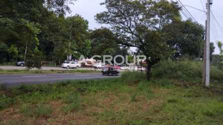 Open grassy development lot with palm trees and utility lines along highway Capira Panama