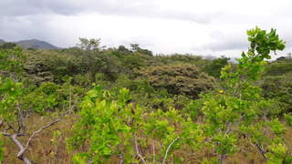 Land for Sale in San Martín - 0 bedrooms