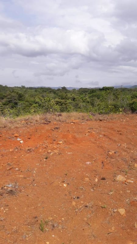 Unpaved land areas with grass and trees in San Martín Panama for agriculture or eco-development