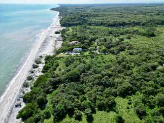 Coastal estate on sandy beachfront with green forest El Higo Panama