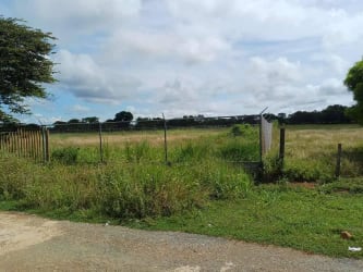 Fenced open agricultural lot with dirt road and gate for sale near Pocrí Aguadulce Panama