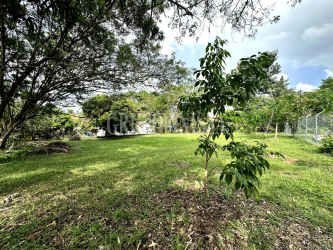 Open grassy lot corner fenced with mature trees near Anton Valley Panama