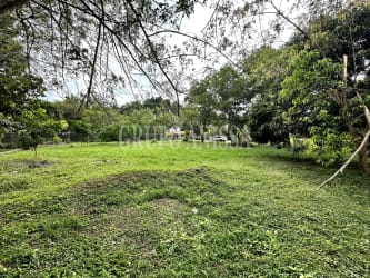 Large residential lot with fence and open green lawn in El Espino San Carlos Panama