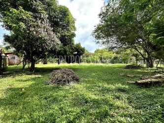 Spacious lot with mature trees and lush green surroundings in El Espino Panama