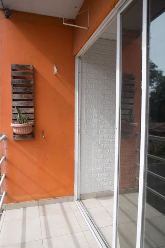 Balcony with vertical green wall, urban view Pedregal Urban Complex Panama
