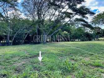 Corner lot surrounded by trees in Fairways Buenaventura with natural landscape