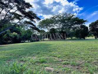 Corner lot 1800m² with green grass and mature trees at Fairways Buenaventura Golf Resort Panama