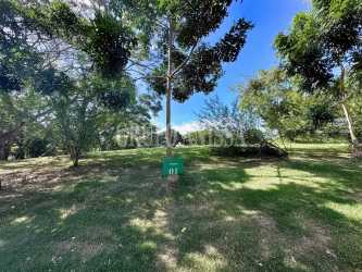 Spacious flat lot at Fairways Buenaventura surrounded by greenery and mature trees
