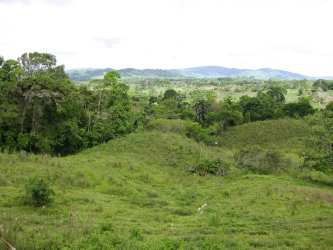 Private dirt road lined with trees providing access to Bugaba farmland in Panama