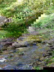 Land for Sale in San Lorenzo - 0 bedrooms