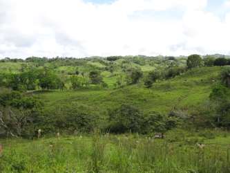 Gently rolling hills and grassland perfect for farming in Bugaba Chiriqui