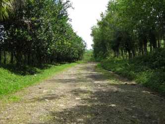 Open countryside with hills, dense greenery and distant mountain views in Bugaba Panama