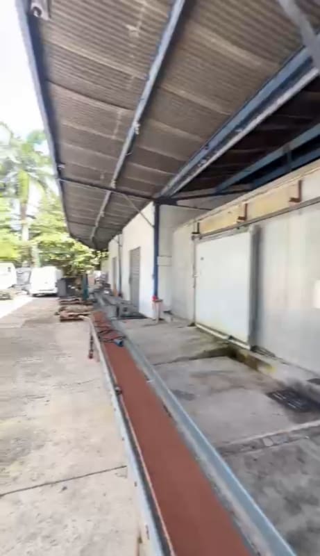 Loading dock under awning of industrial warehouse Galera Frangipani Perejil Pedregal Panama