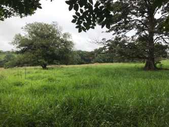 Rolling lush pasture hills on large Veraguas Panama cattle ranch