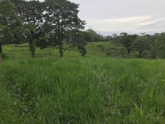 Scenic panoramic view of forested hills on agricultural cattle ranch Panama