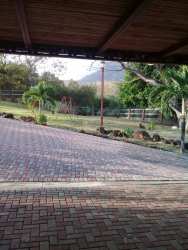 River/creek lined with lush tropical trees on property border of private estate in Panama