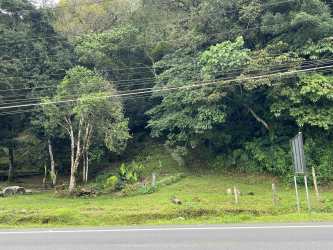 View of lush greenery roadside border to Volcán commercial lot Chiriquí