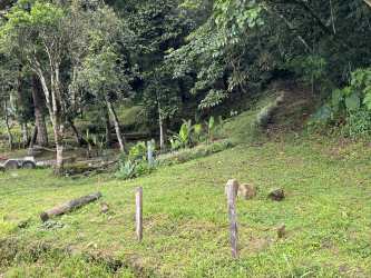 Dense forest with fence posts and water feature on mountain property Panama